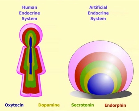 Nell'immagine: schematizzazione di un sistema endocrino artificiale Nell'immagine: schematizzazione di un sistema endocrino artificiale