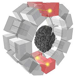 pet scanner con cervello
